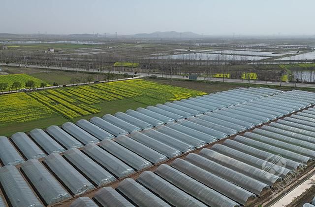 赤壁企業(yè)數(shù)字化轉(zhuǎn)型 高端網(wǎng)站建設(shè)引領(lǐng)產(chǎn)業(yè)升級